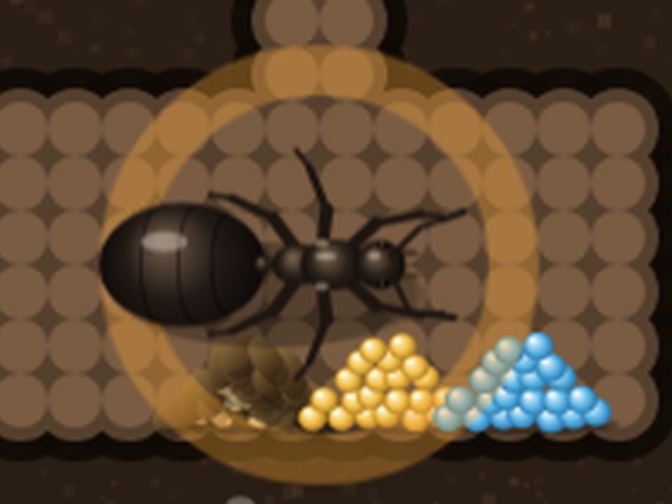 A black ant queen in her chamber, beside heaps of sugar and water and a protein store